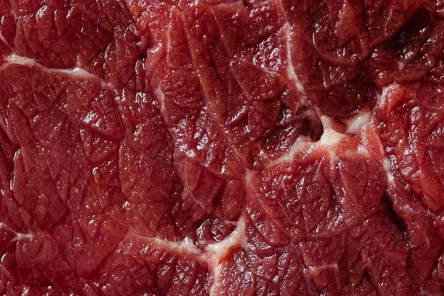 Raw Beef Brains