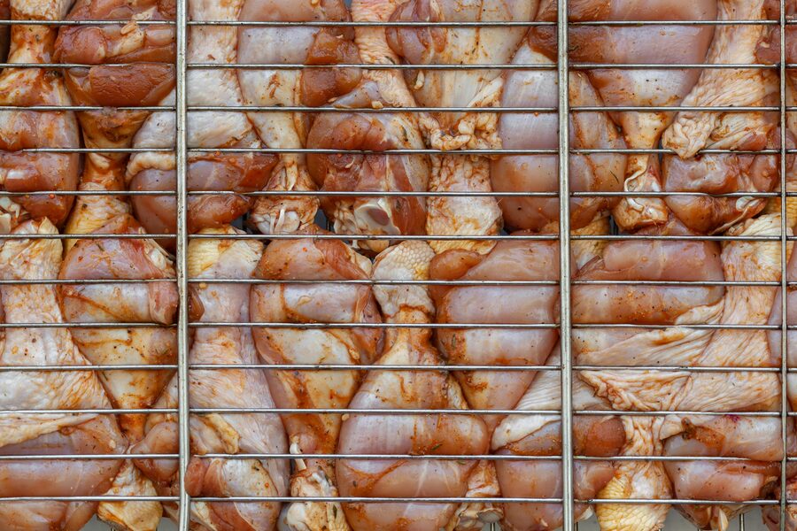 Chicken Drumsticks