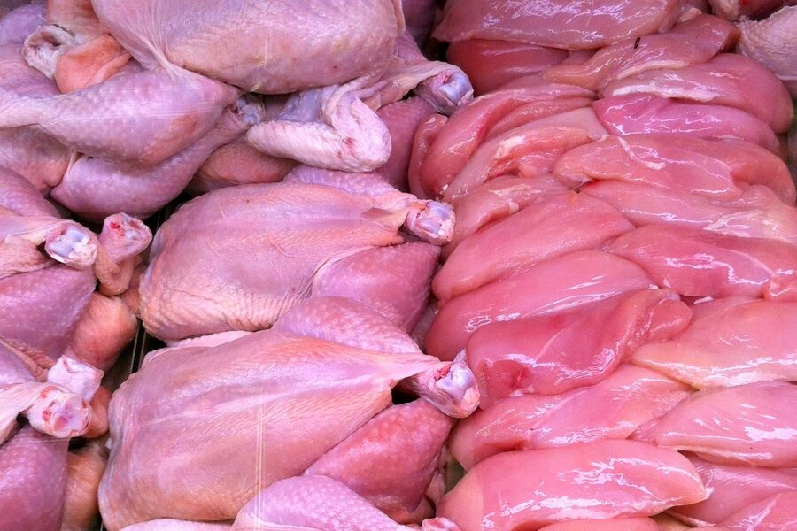 Whole Chicken with Neck